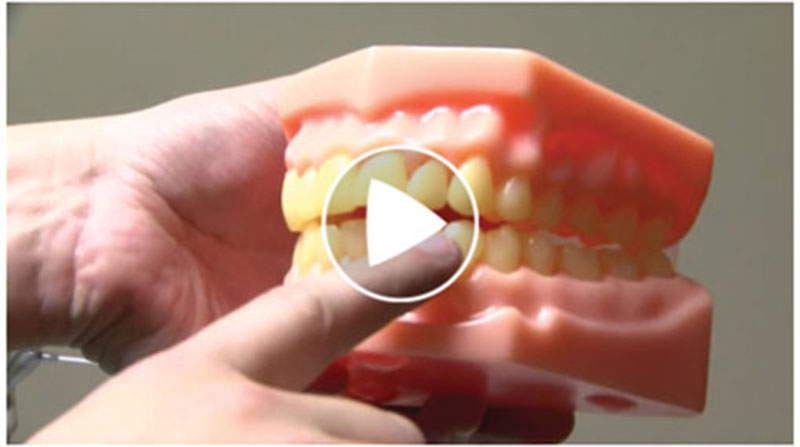 WCDS Featured on WLFI for Classroom Outreach