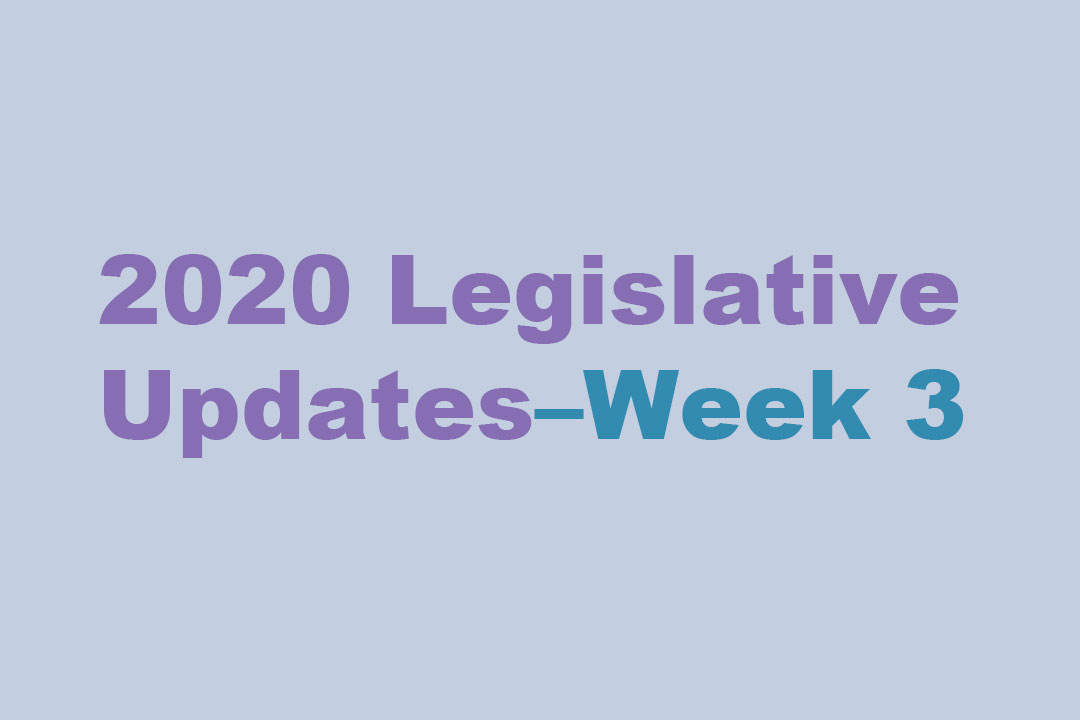 2020 Legislative Updates, Week 3