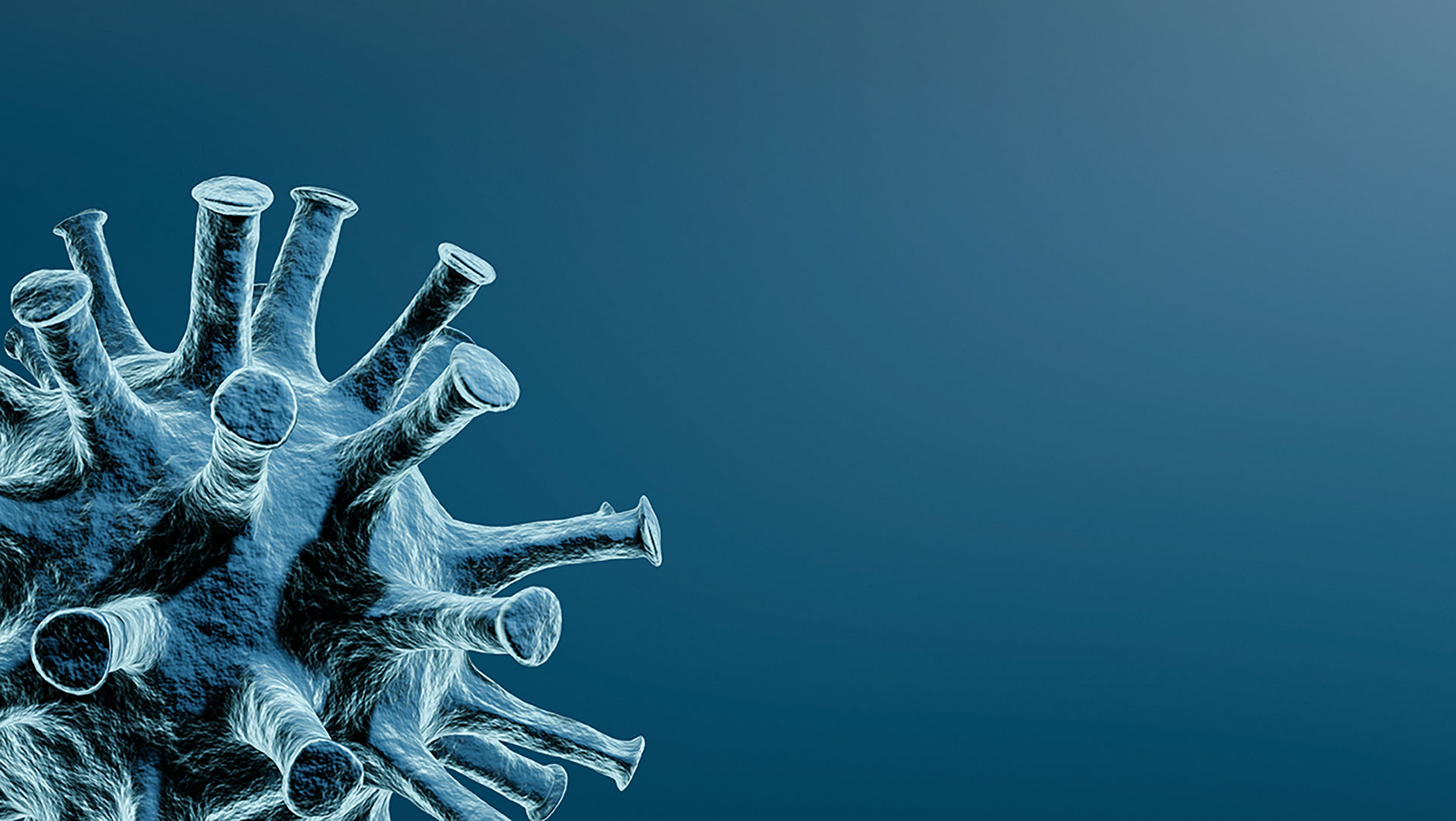 ADA Offers CARES Act Application FAQs