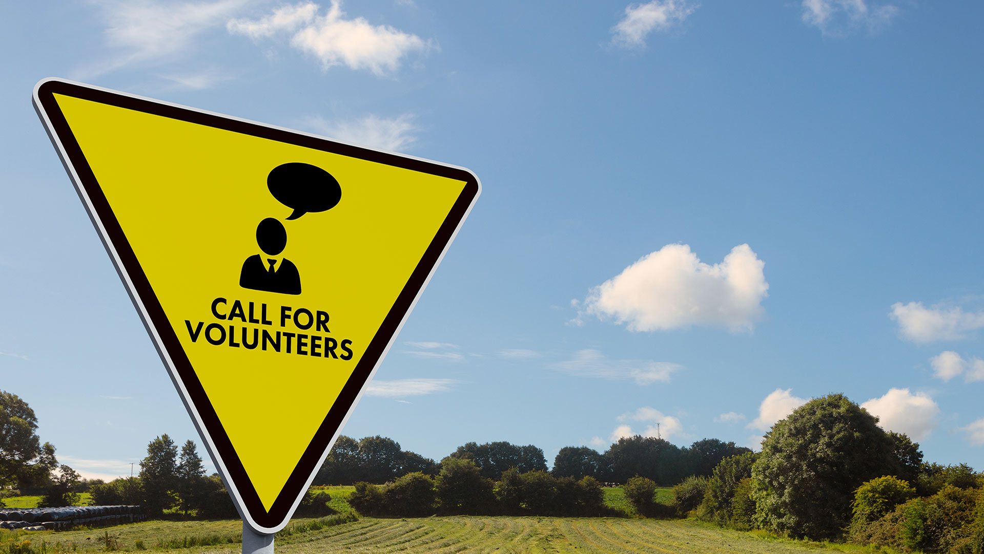 ADA and IDA Seeking Leadership Volunteers