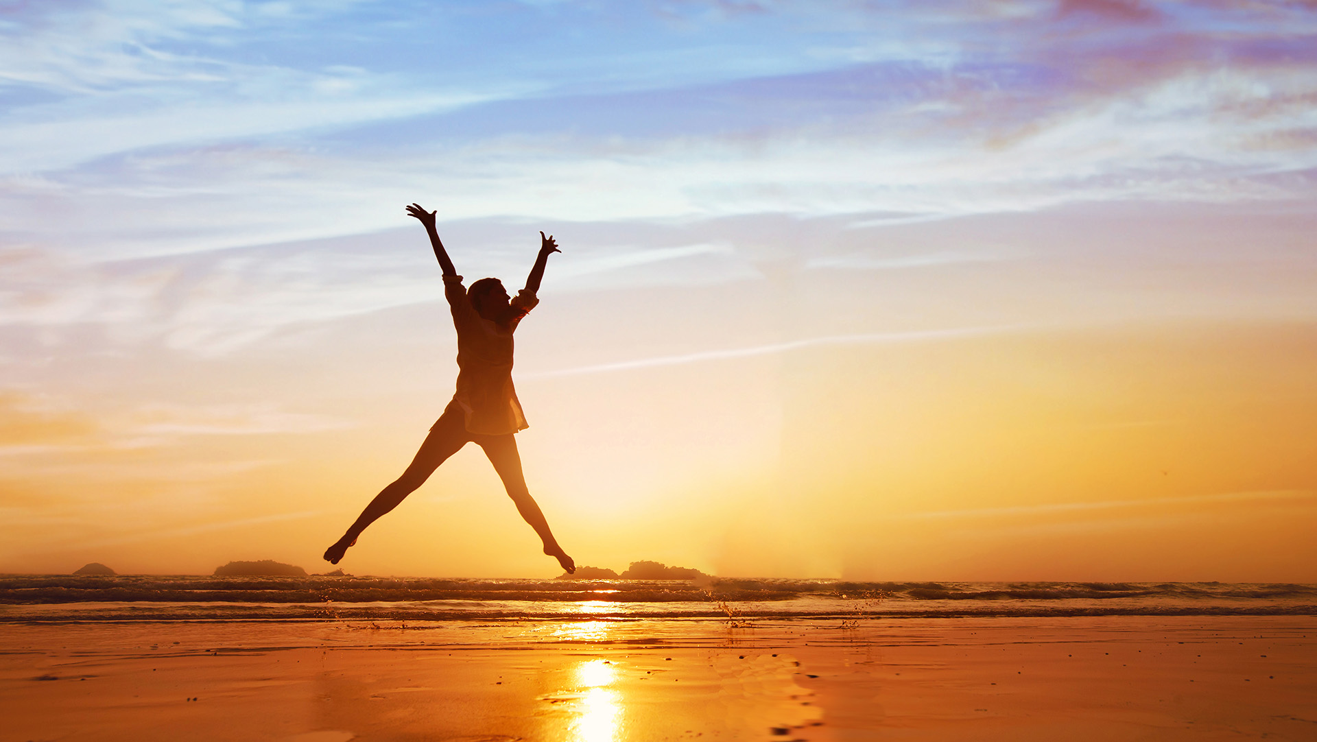 Wellness Resources from the IDA